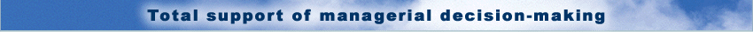 Total support of managerial decision-making